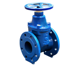 Elastomer seated gate valve